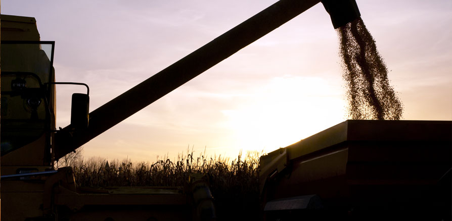 Loewen AFX Front Rotor Kits